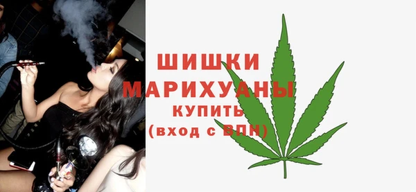 крисы Пестово