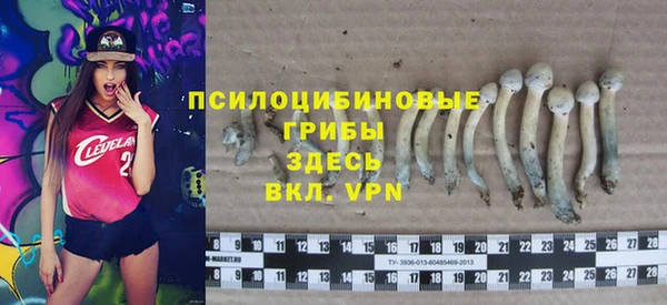 МДПВ Абинск