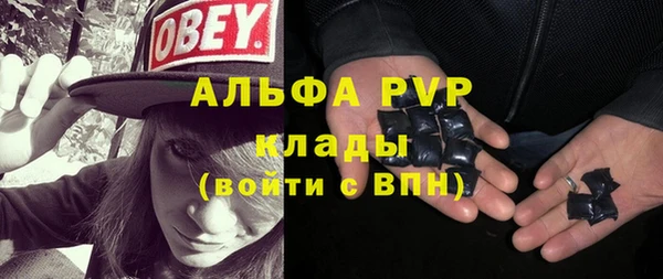 спиды Пересвет